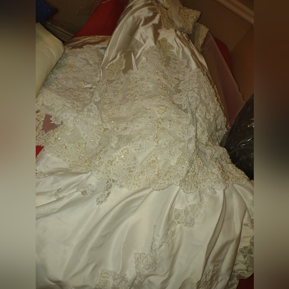 Wedding Dress - Picture 13 of 16